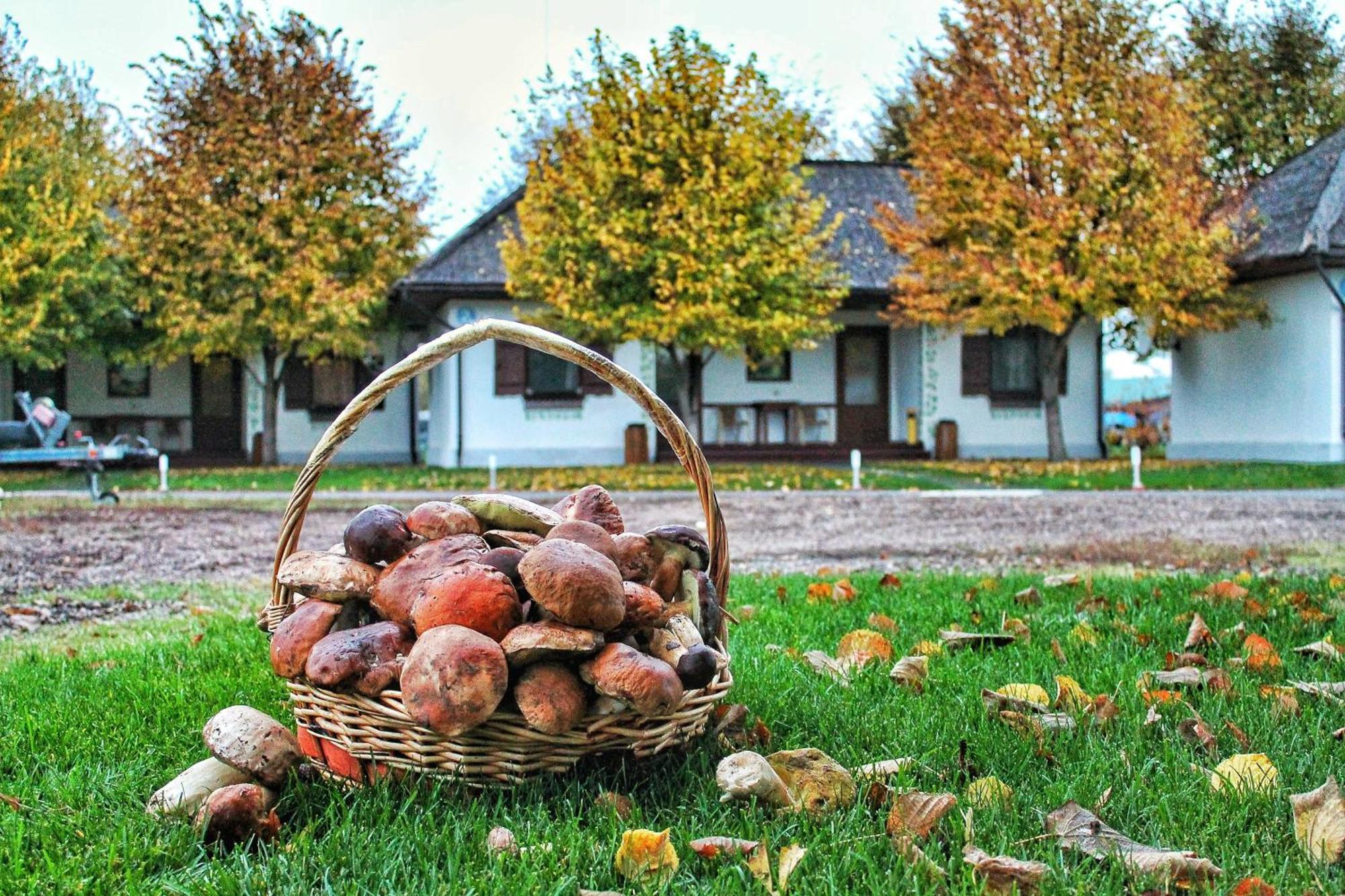 База Берег Світлогірське Екстер'єр фото